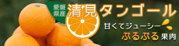 「清見タンゴール」・OrangeStoreニノミヤ