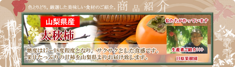太秋柿（甘柿）・産地直送・お取り寄せ-通販サイト「山幸の通販だいち」